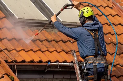 Démoussage et hydrofuge de toiture à Vertrieu